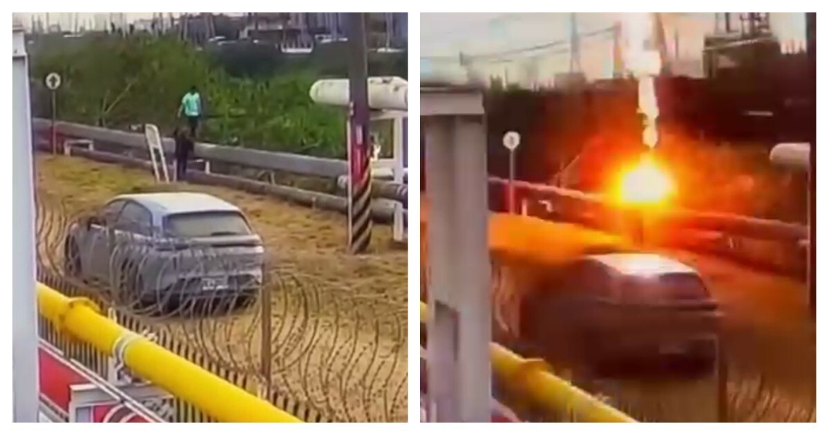 Ловец игуан оставил без света три нефтехимических завода