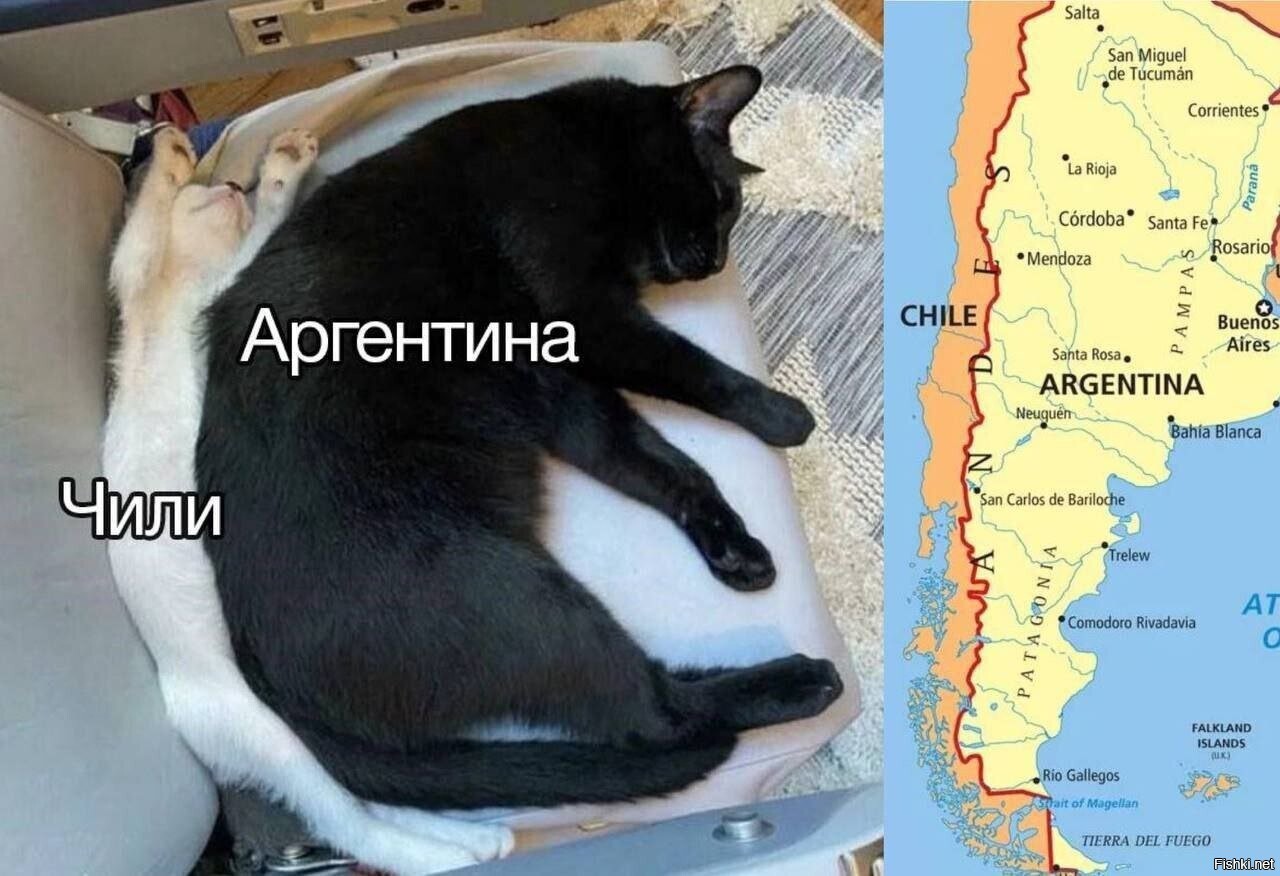 Солянка
