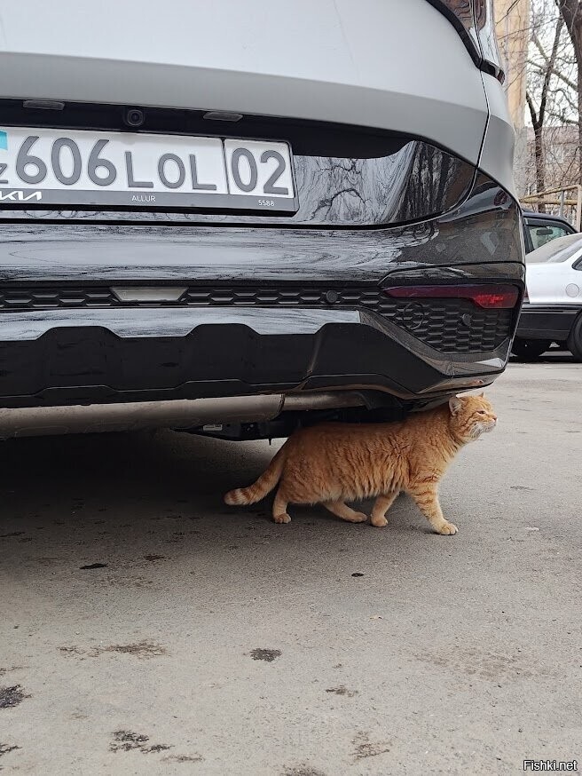 Во дворе