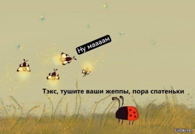Где-то на Камчатке