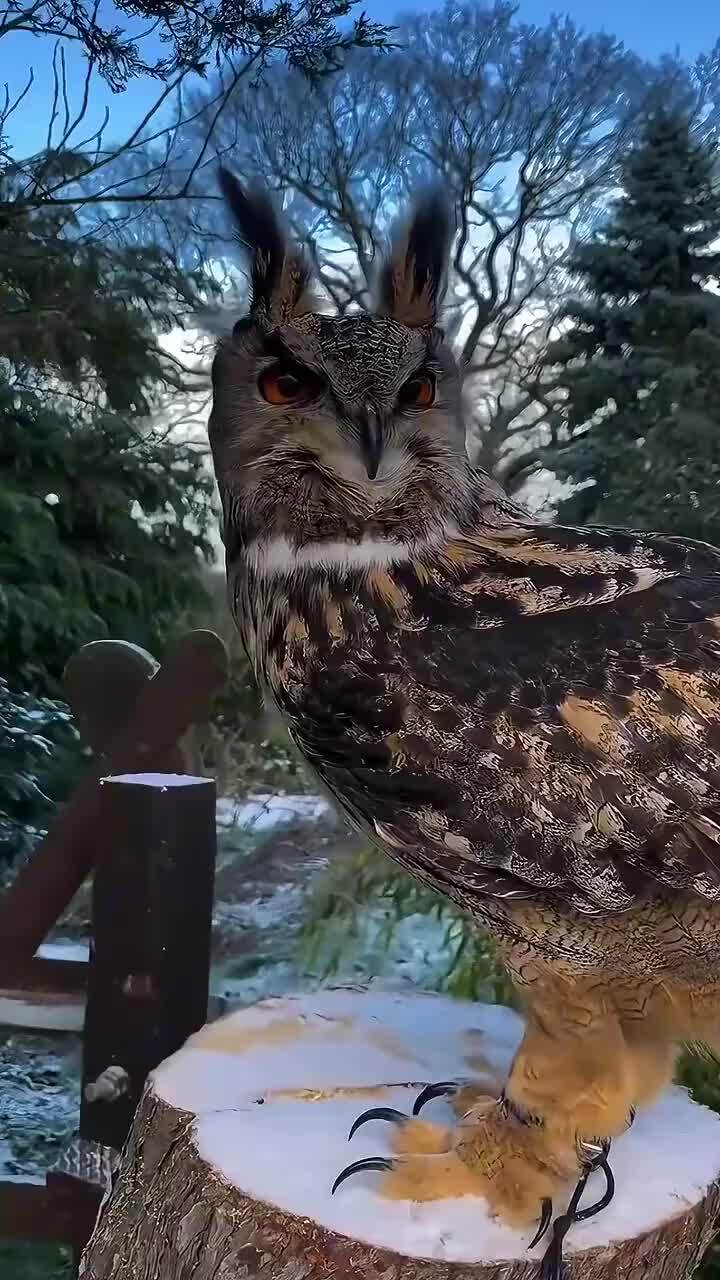 Угу)