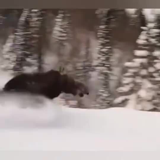 Мощь
