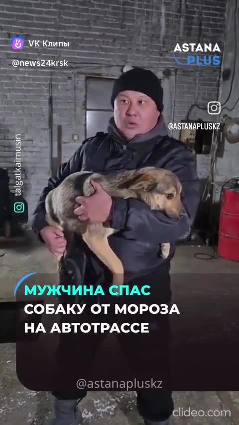 Спасение 