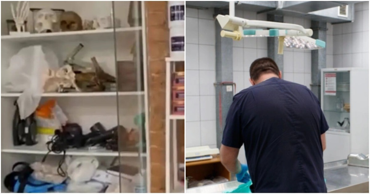 Кости, деньги, два халата: в Питере арестовали главного патологоанатома Александровской больницы