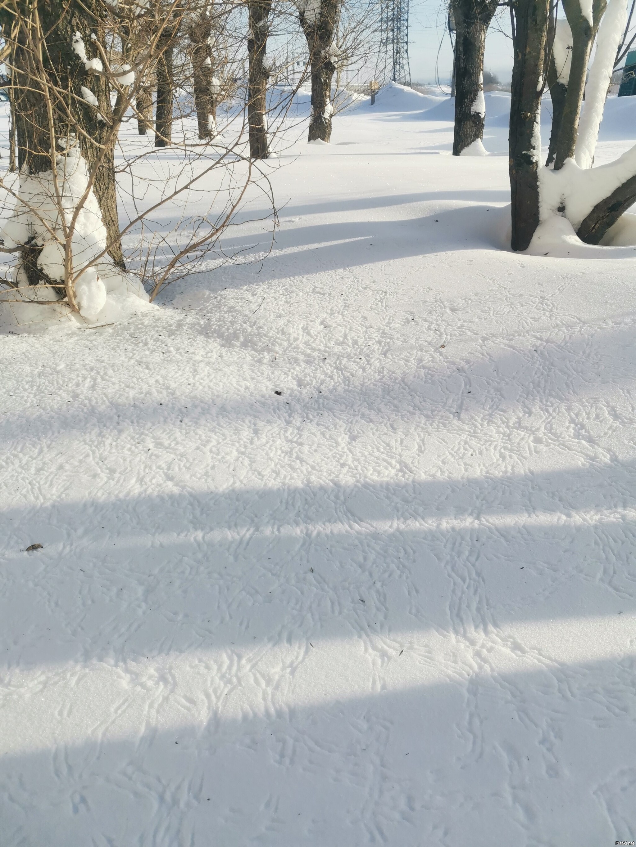 Доброе утро, соляне