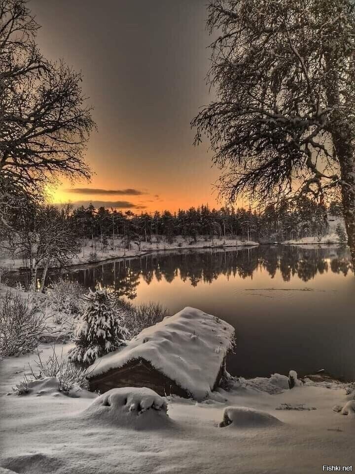 Солянка