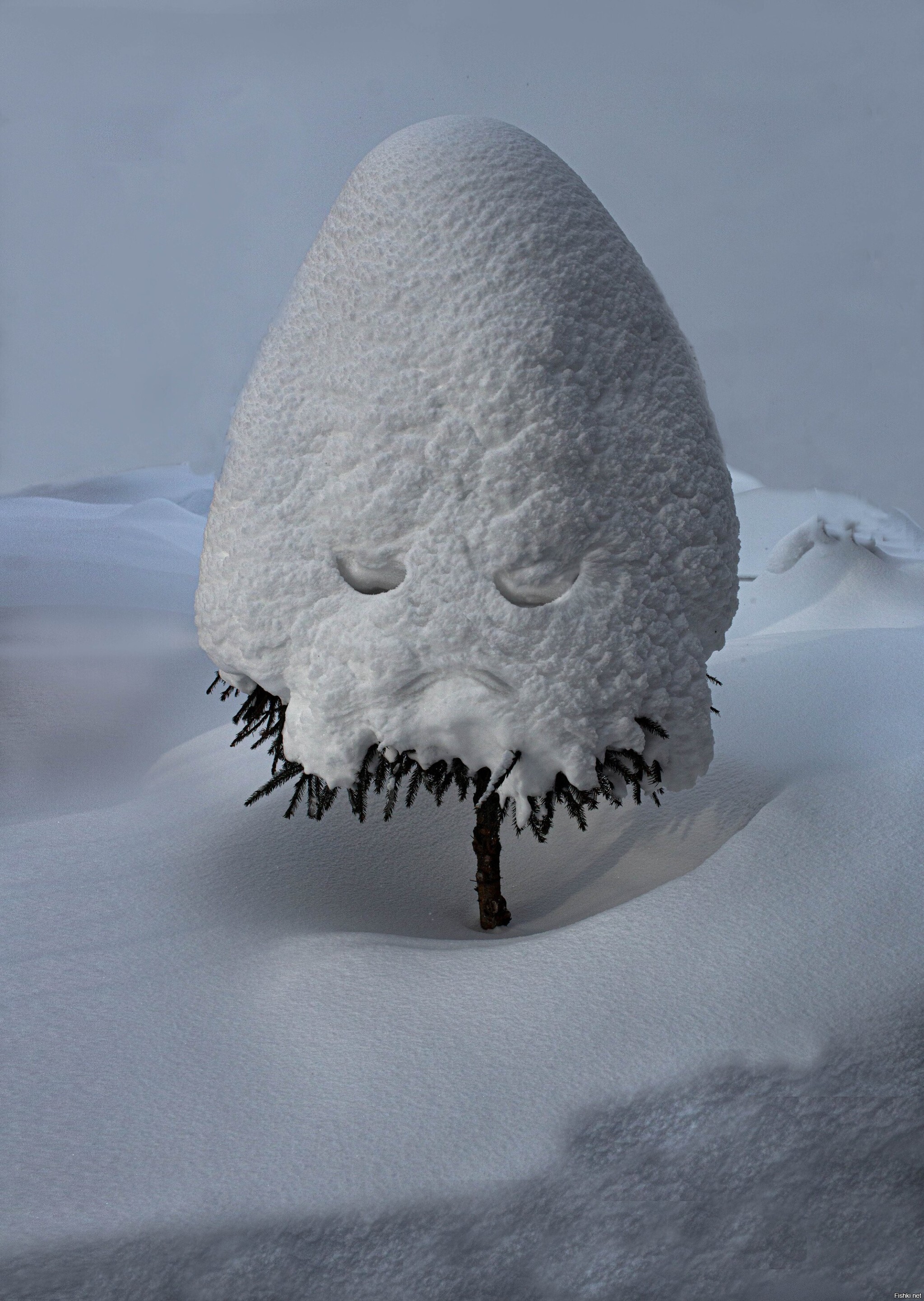 Солянка
