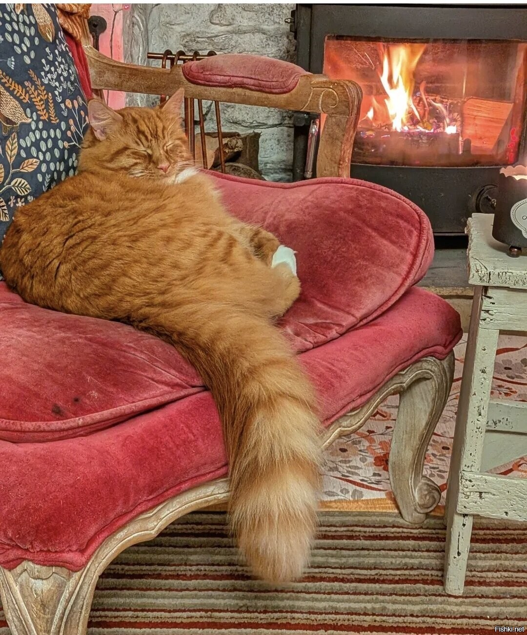 Солянка