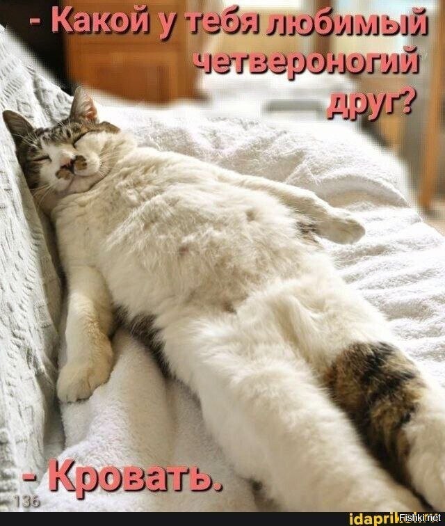 Спокойной ночи
