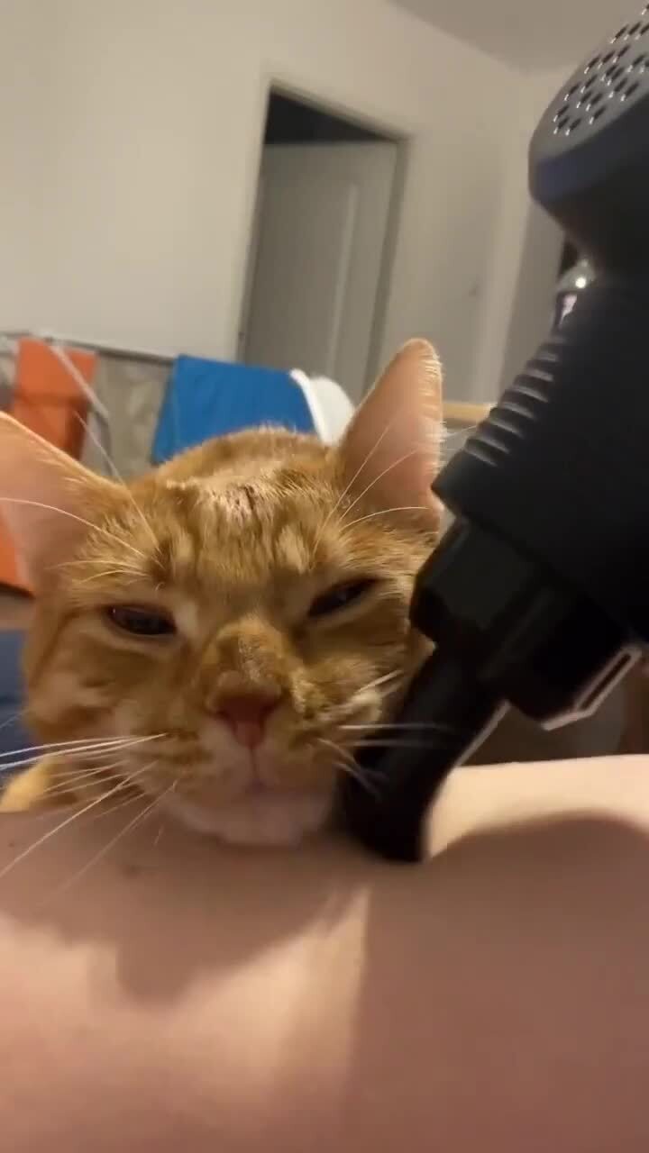 Я тоже так хочу