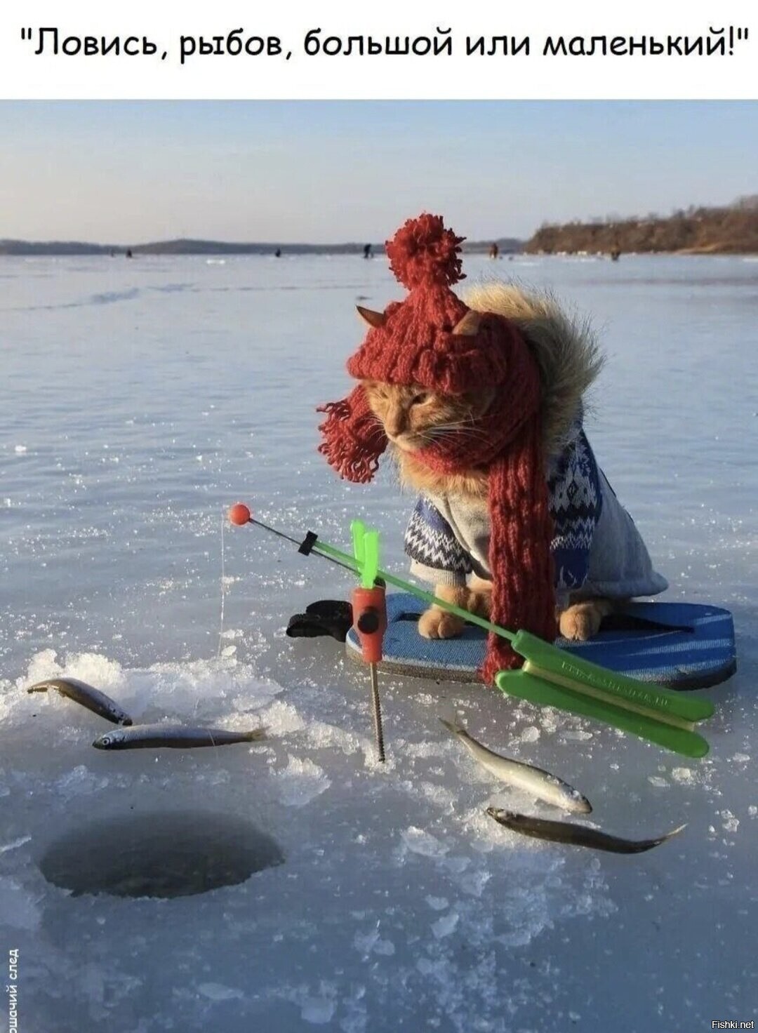 Доброе утро