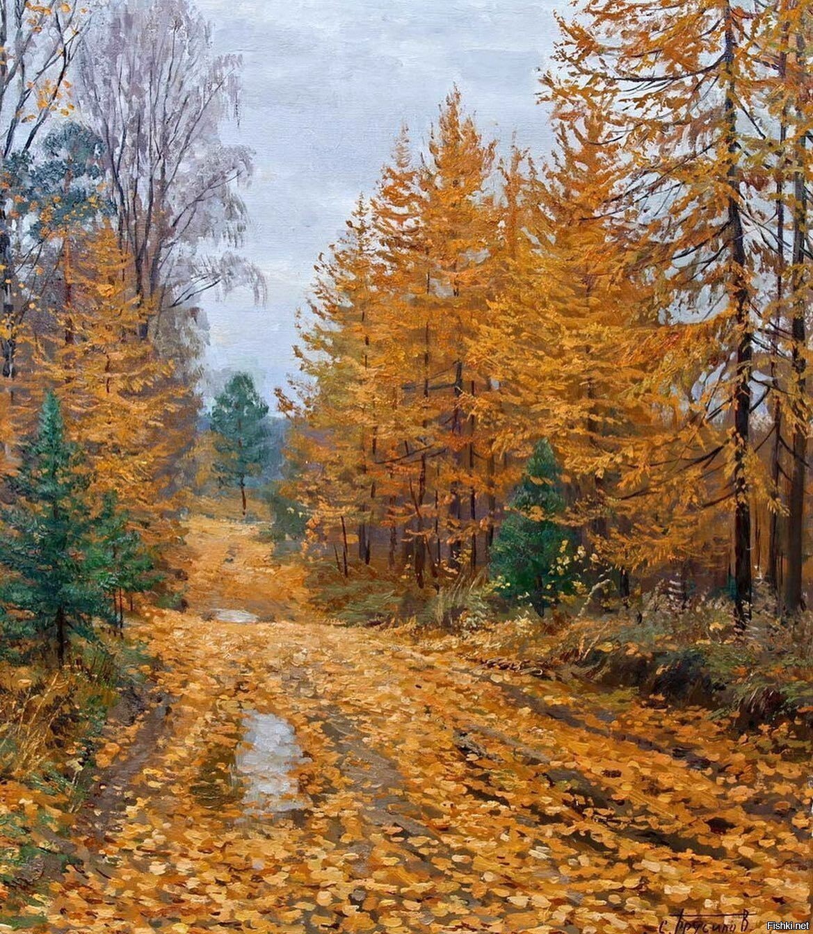 Солянка