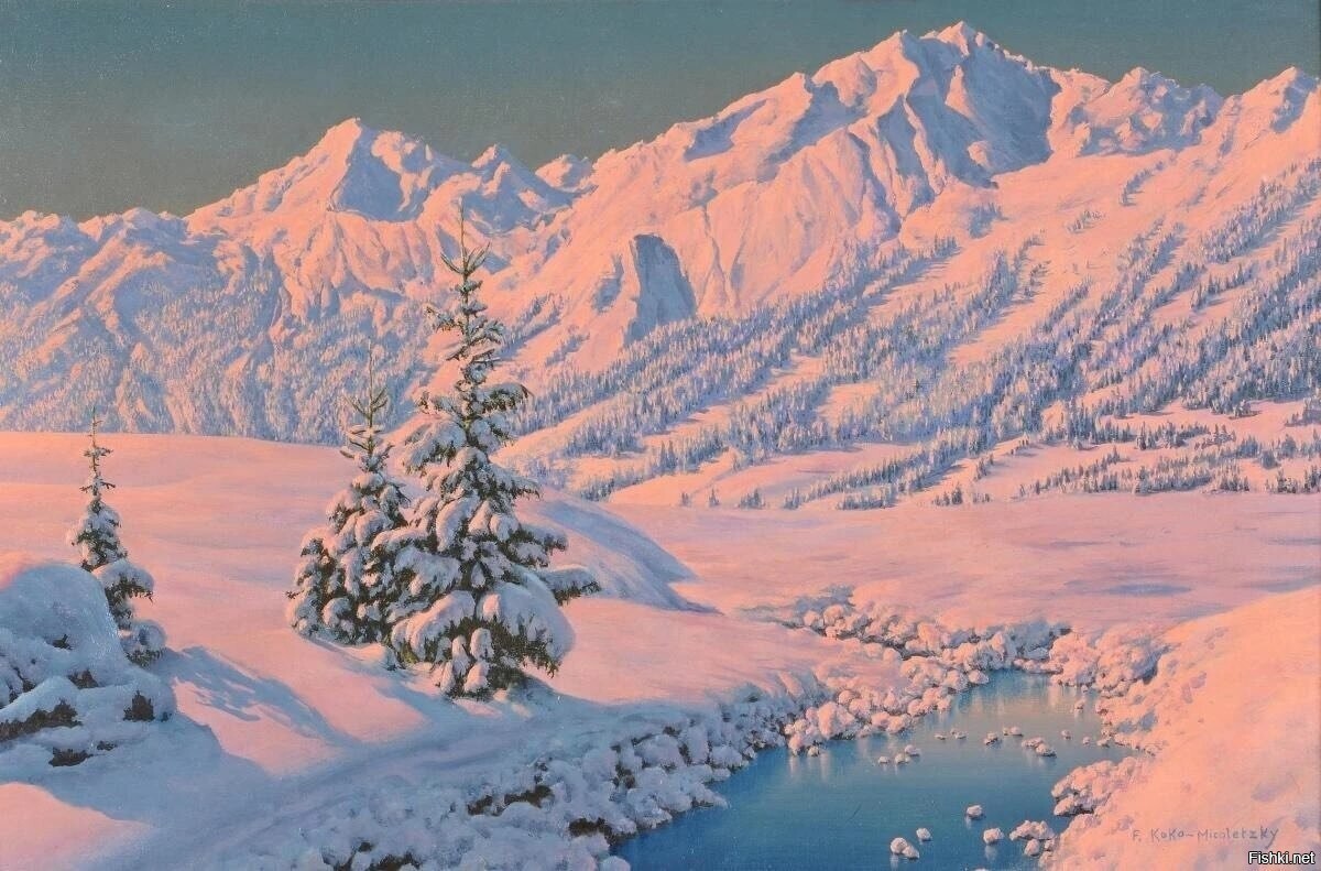 Солянка