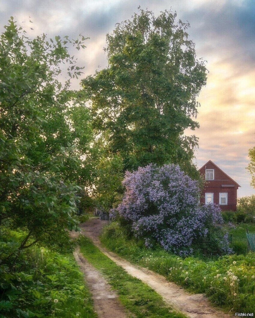 Солянка