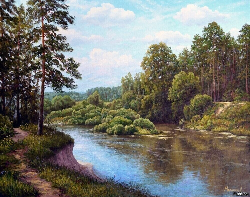 Солянка