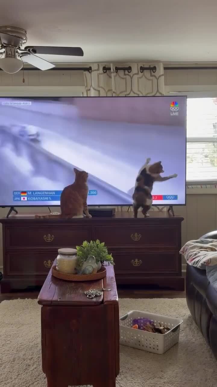 Болельщики)