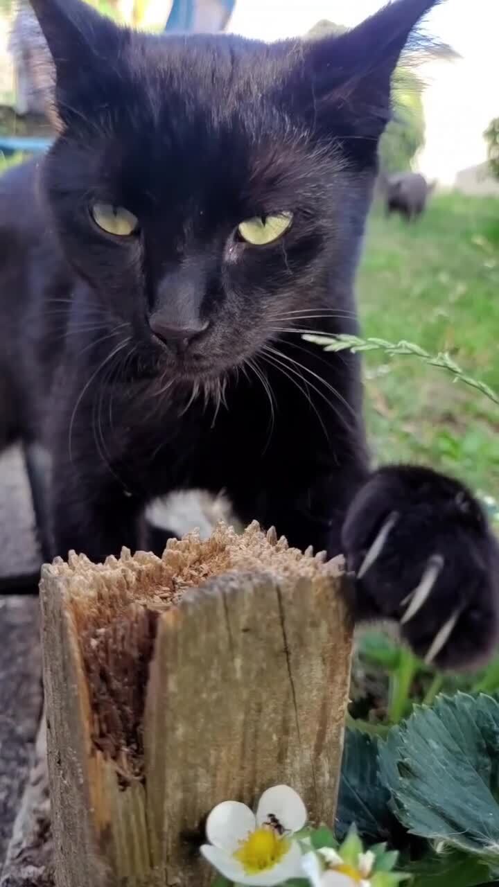 Грозный)