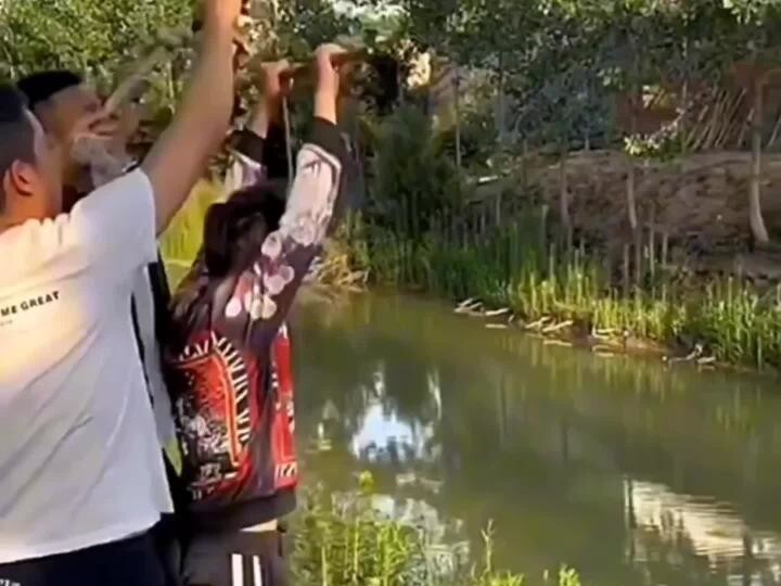 Сразу видно - лучшие друзья