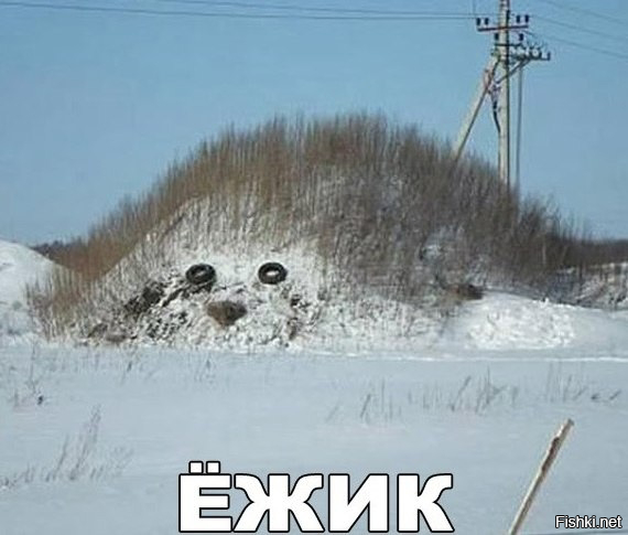 Солянка