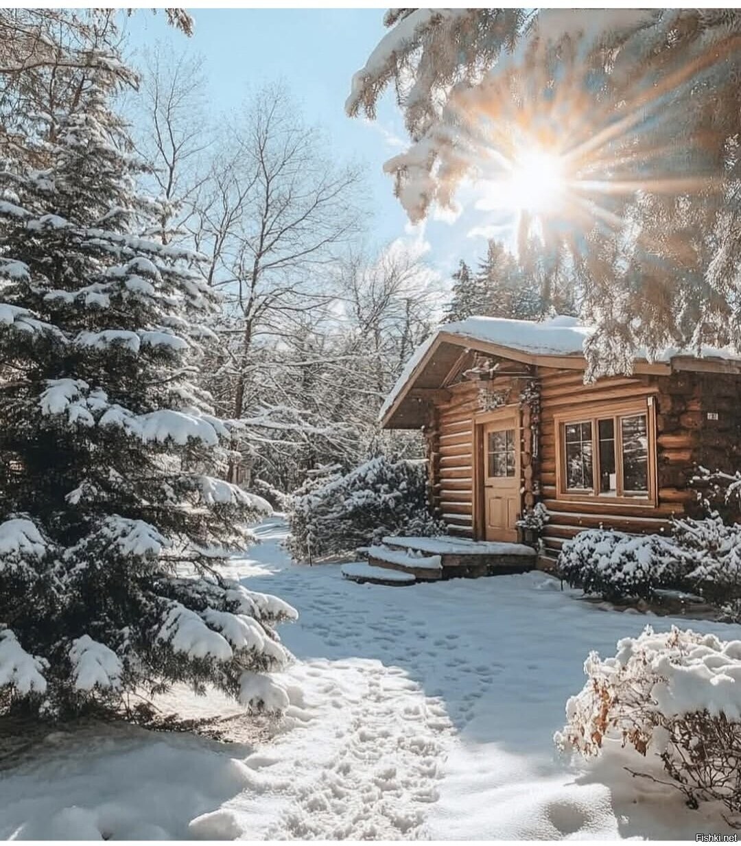 Солянка