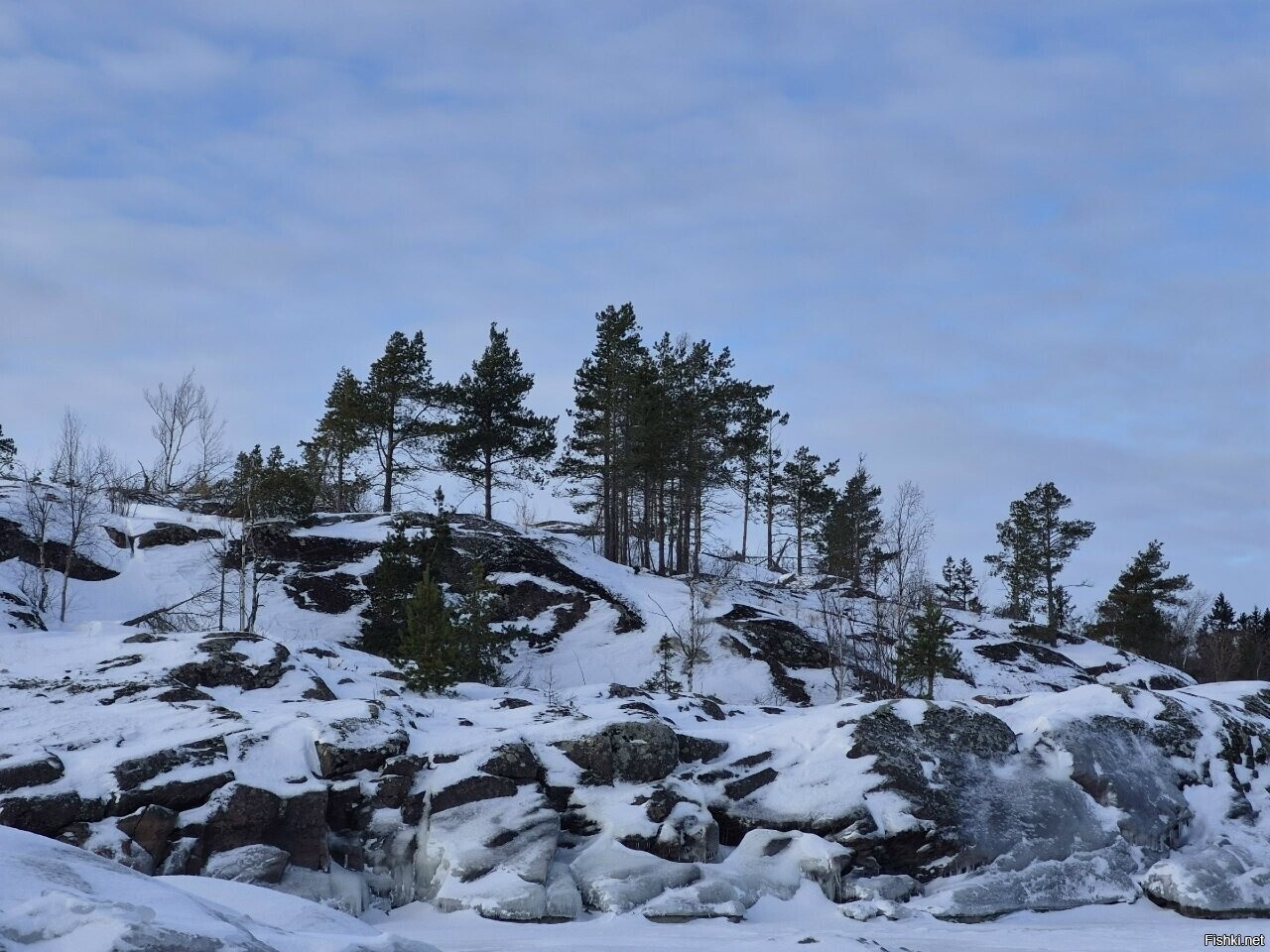 Солянка