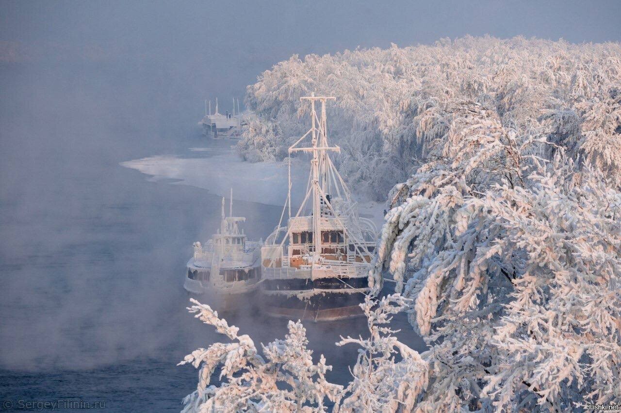 Солянка