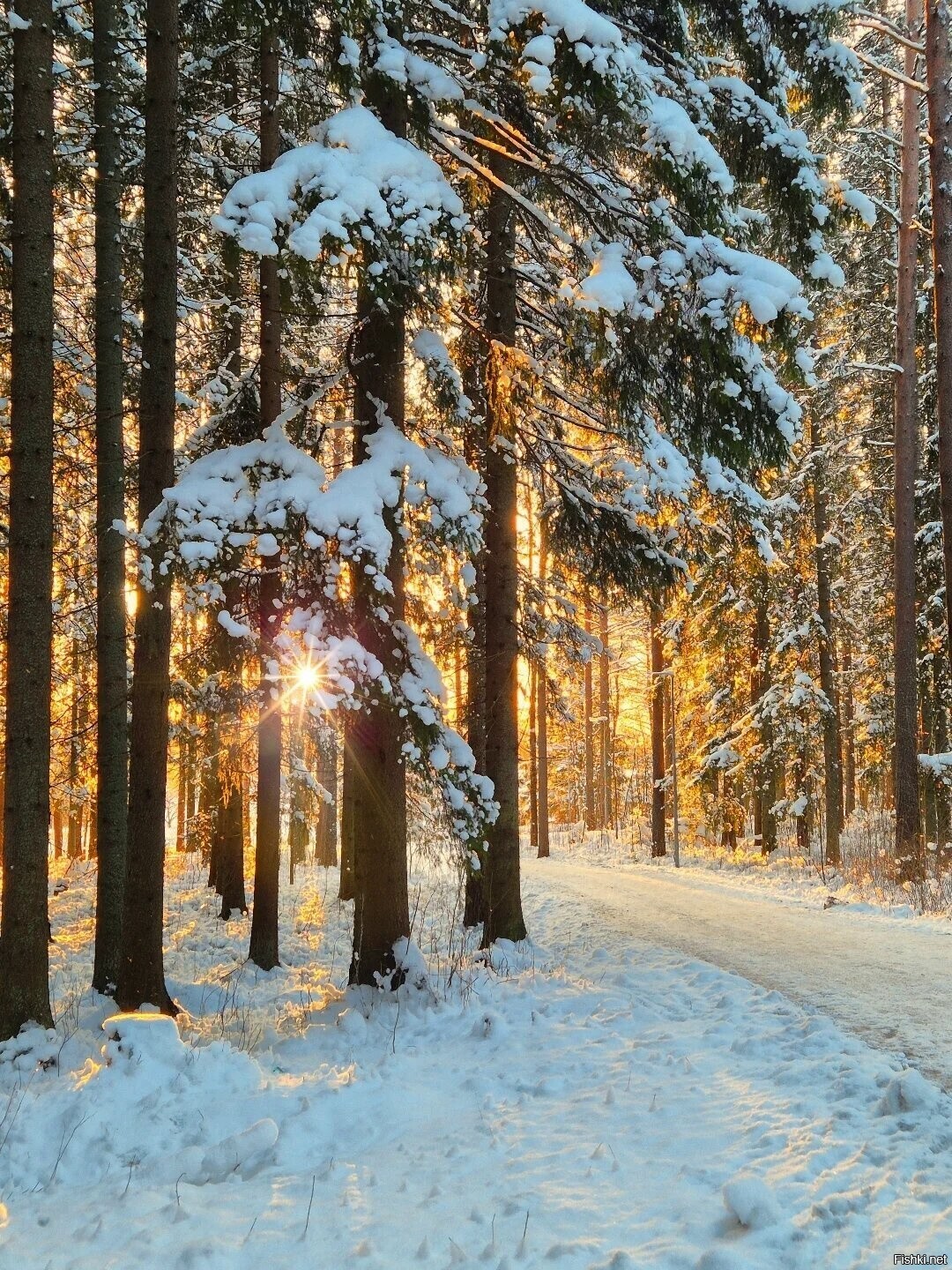 Солянка