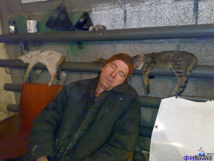 Солянка