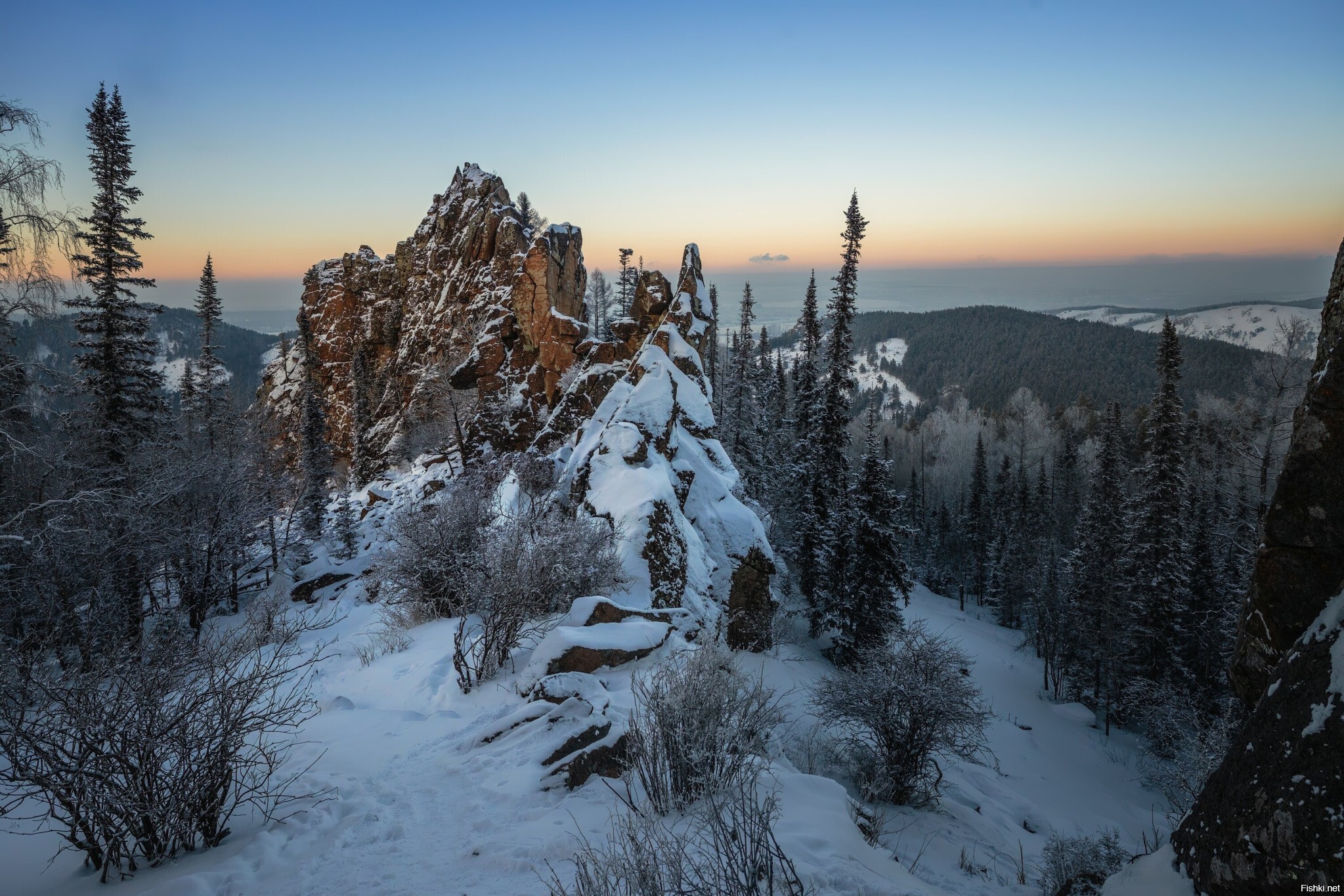Солянка