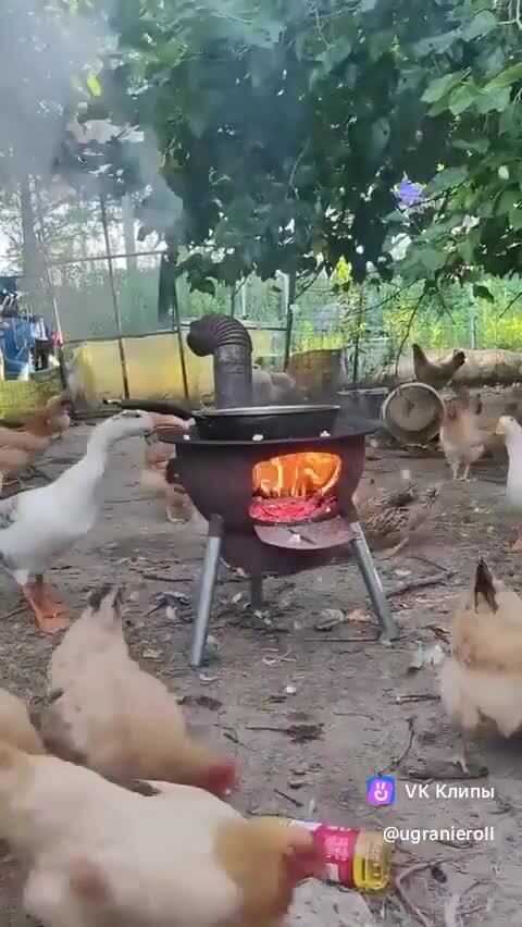 Свежий попкорн