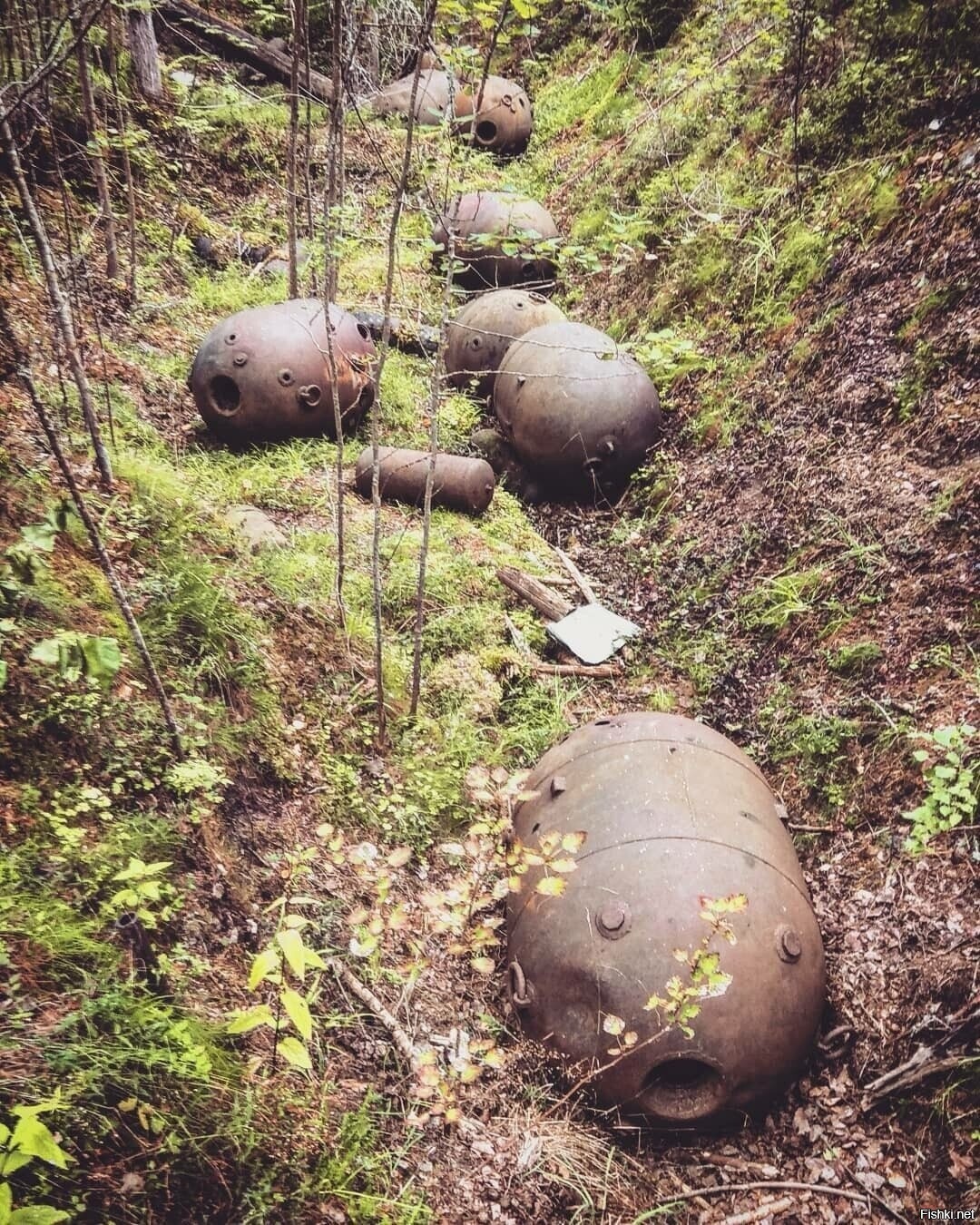 Солянка