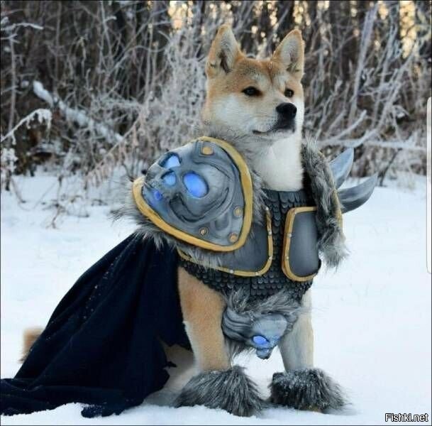 Солянка