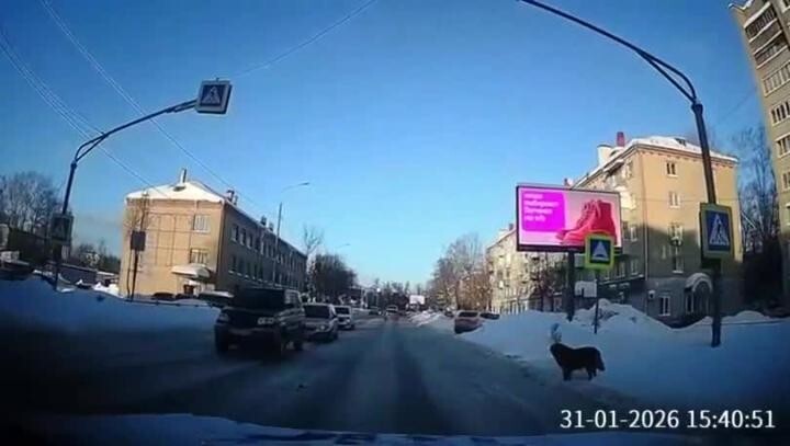 Солянка