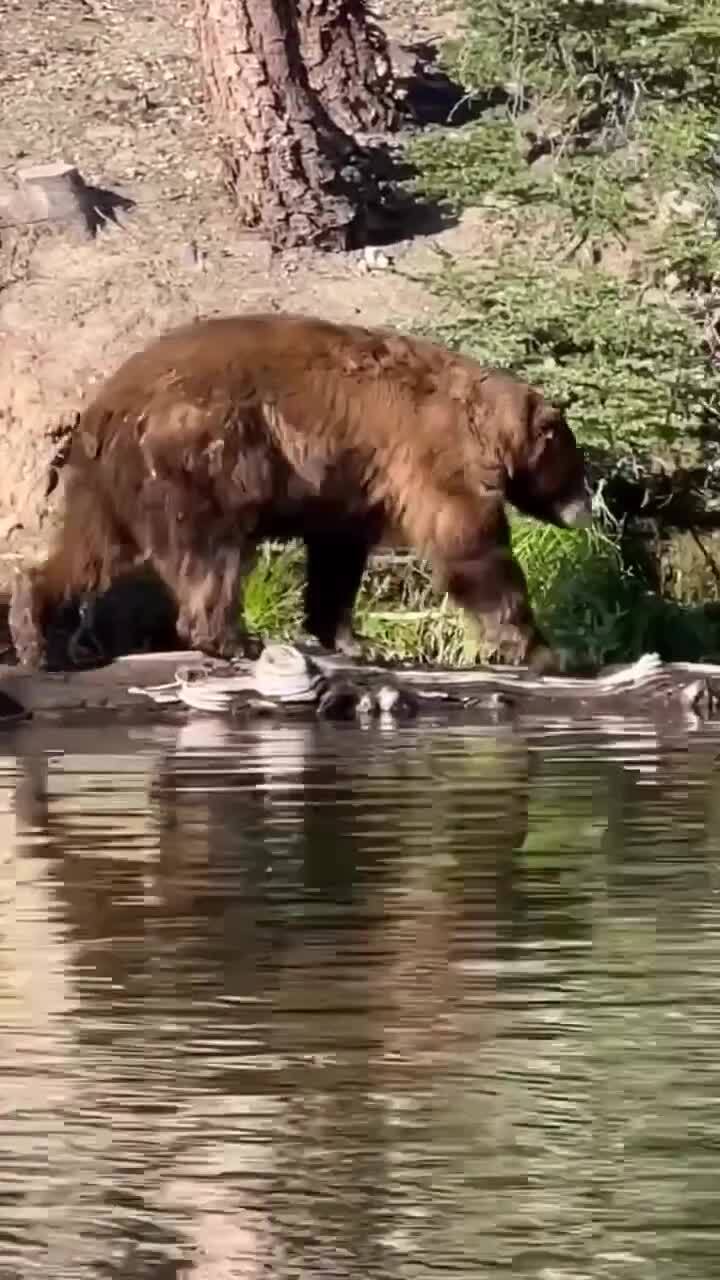 А штаники придётся простирнуть