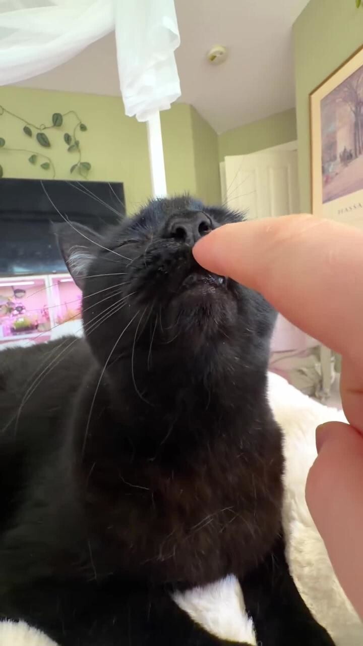 Мурр-терапия)