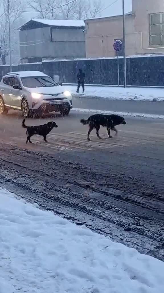 Сегодня в Алма-Ате