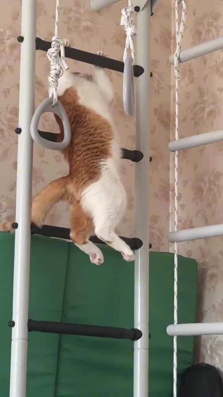 Со звуком