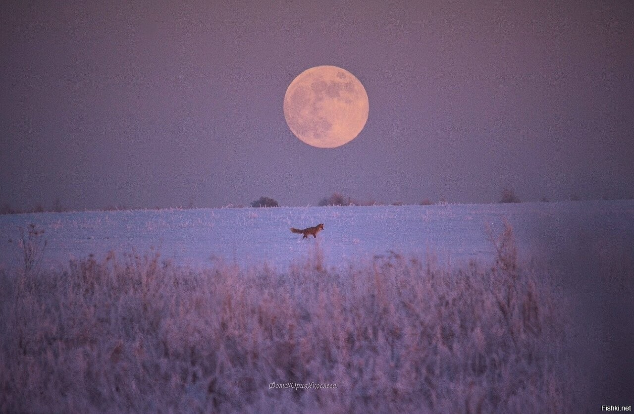 Вышла в ночное