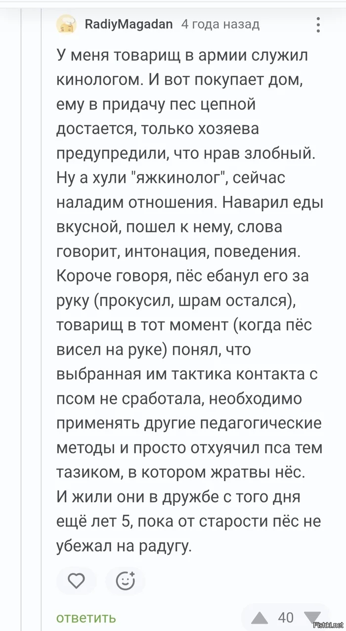 Солянка