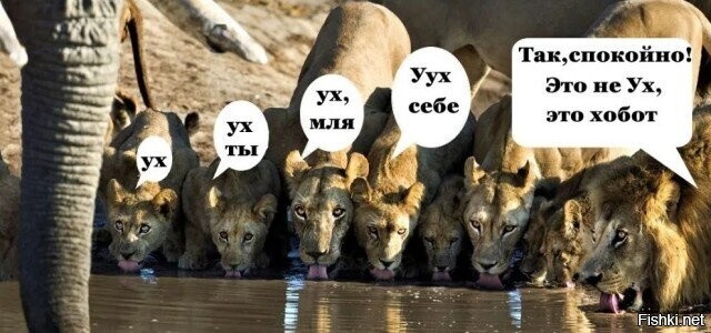 Хмык