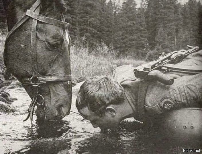 Пить там, где конь пьет