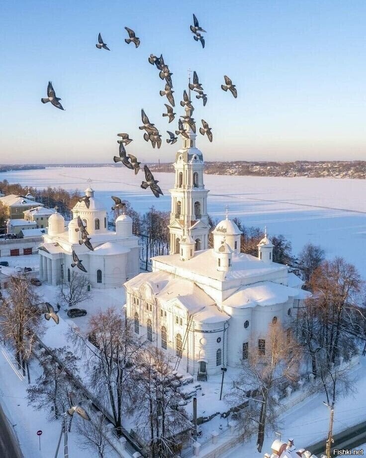 Солянка
