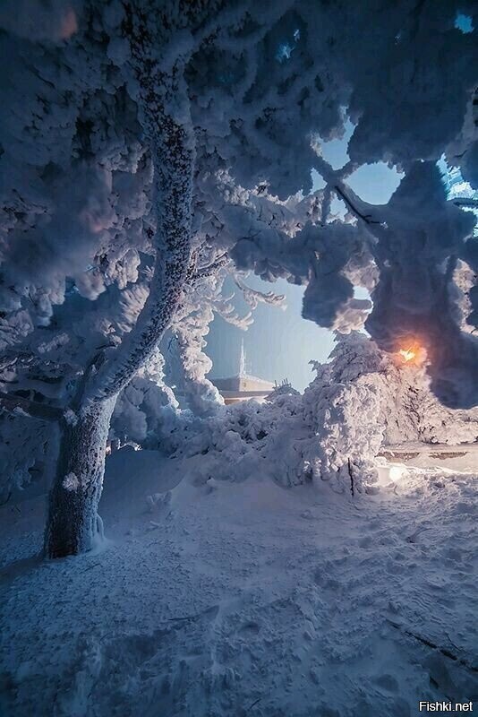 Солянка