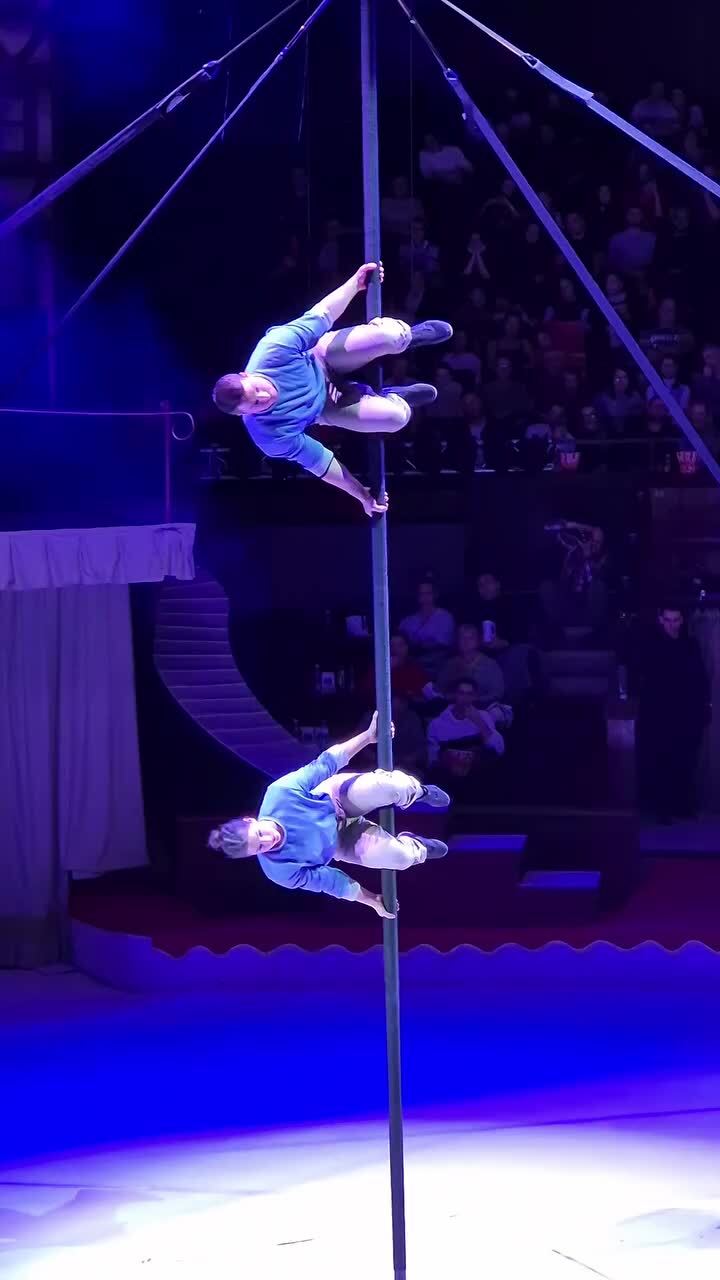 Шикарное выступление