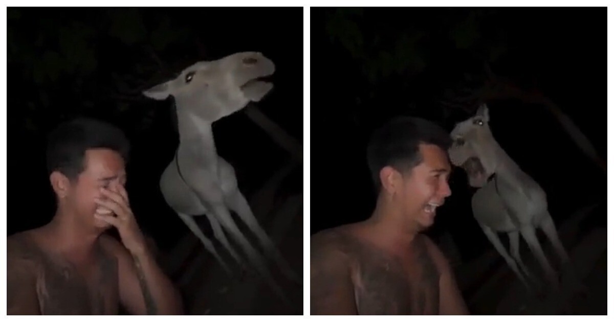 Парень нашёл родственную душу