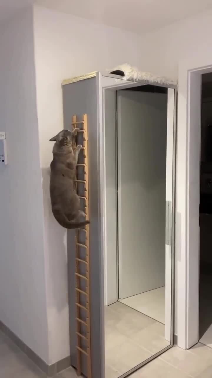 Пентхаус