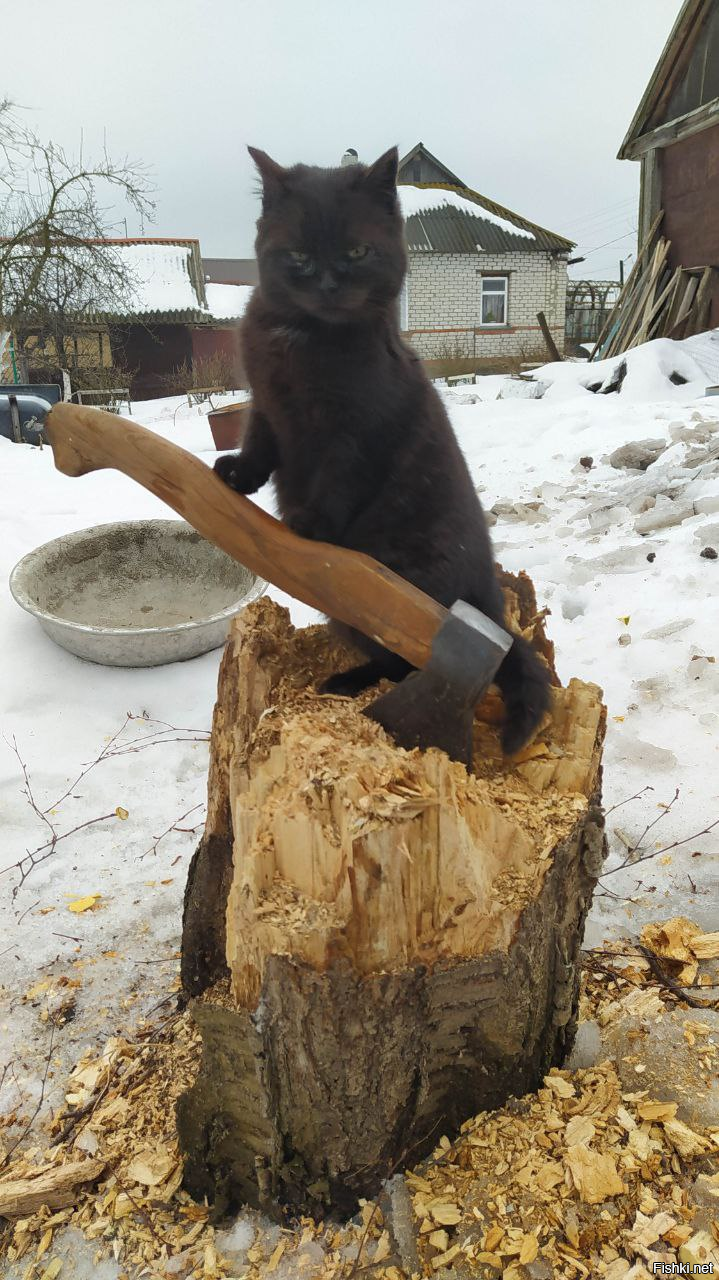 Князь Игорь