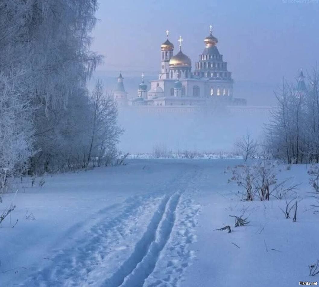 Солянка