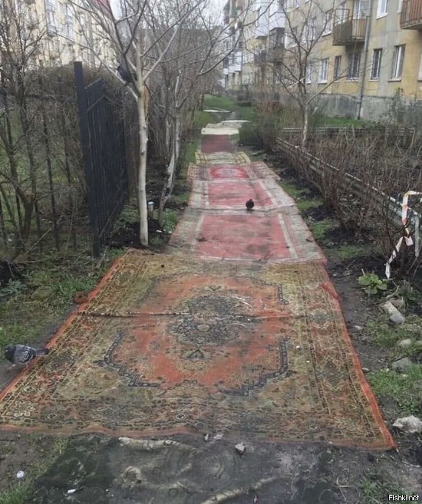 Солянка