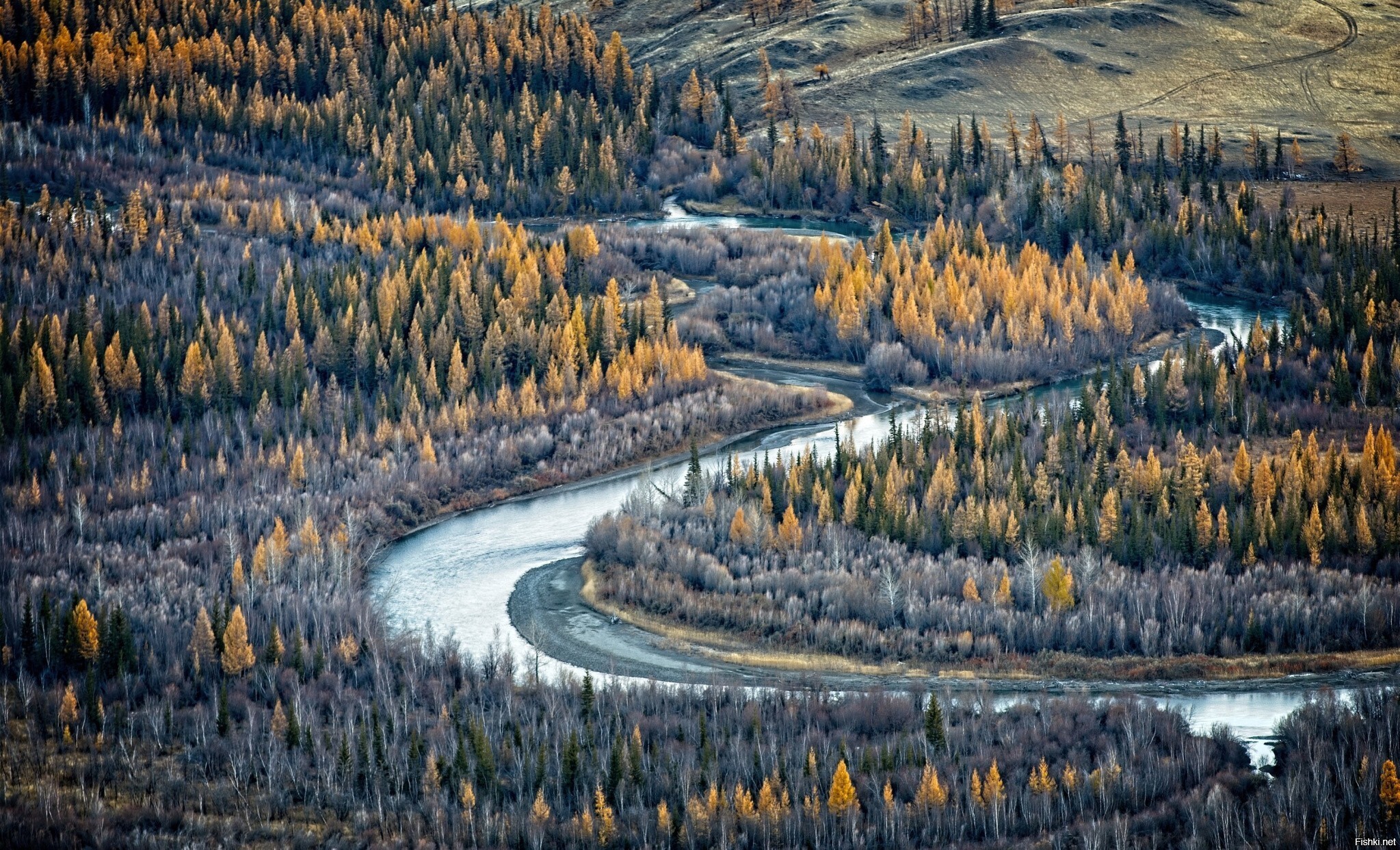Солянка